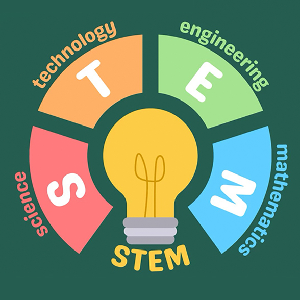 stem.jpg