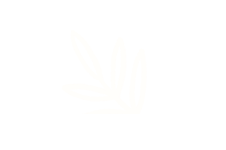 166.png